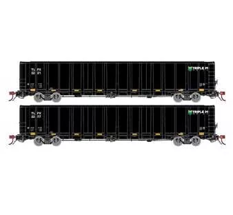 Athearn Genesis G78613 HO Scale NSC 6000 Gondola with Load TLPX 2 Pack #2