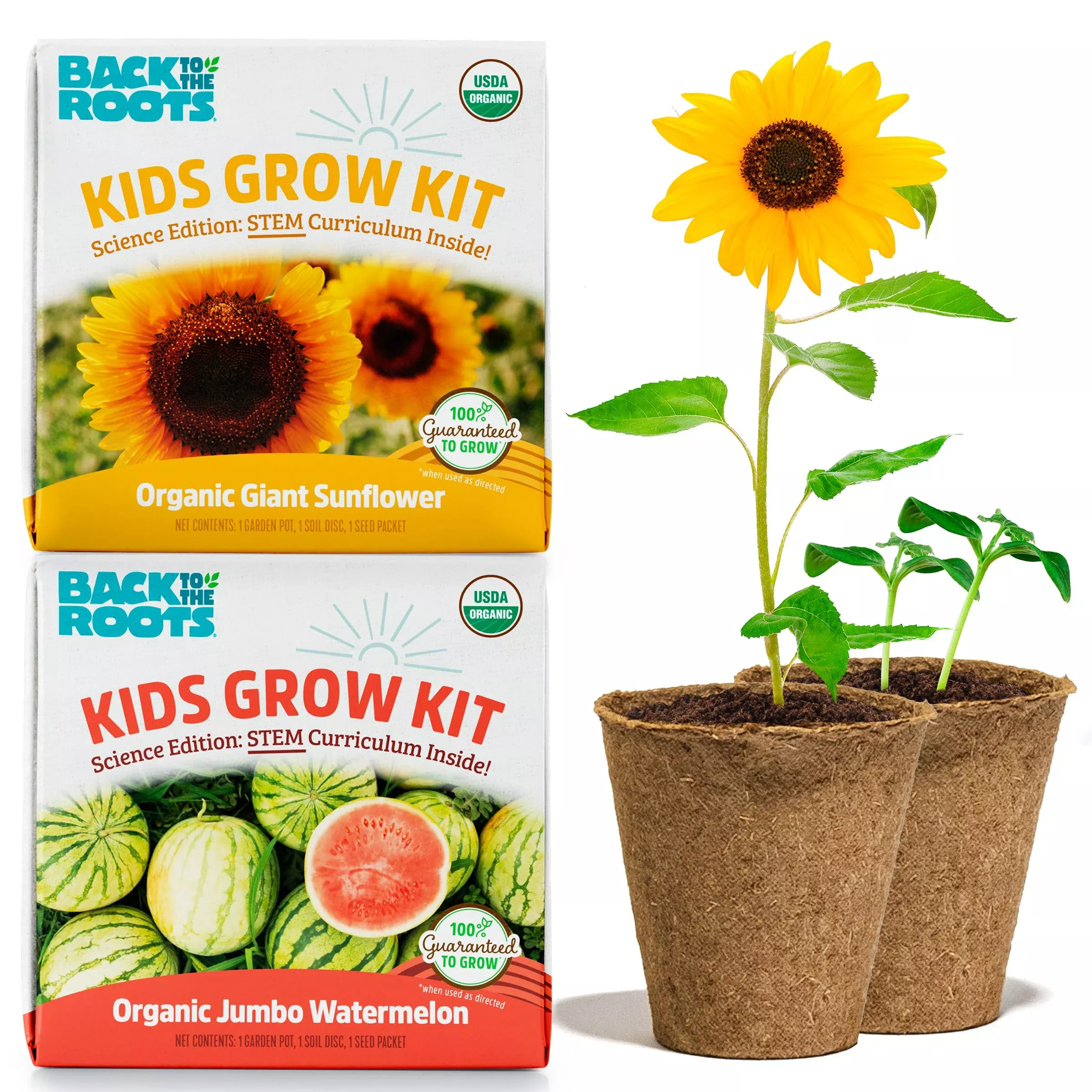 Back to the Roots Kids Science Grow Kit - 2ct Watermelon & Sunflower,