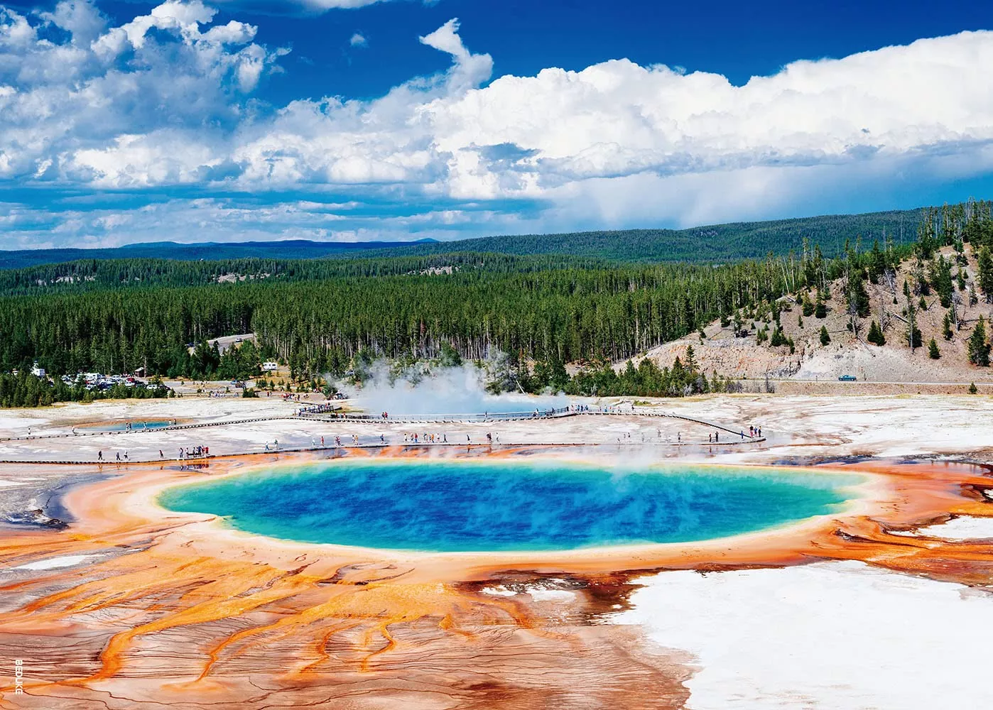 BEDUKE 1000 Piece Puzzle - Yellowstone, 19.7x27.5