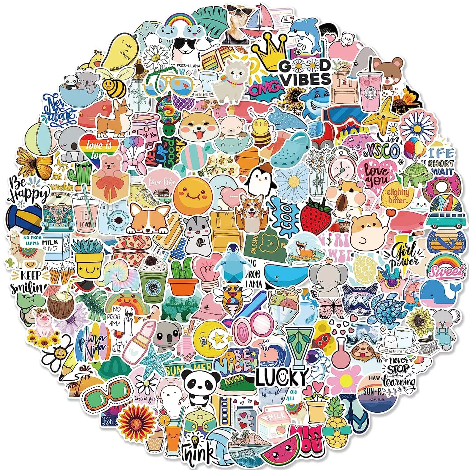Bekayshad Stickers For Water Bottles, 200 Pack/Pcs Hydroflask Cute Vin