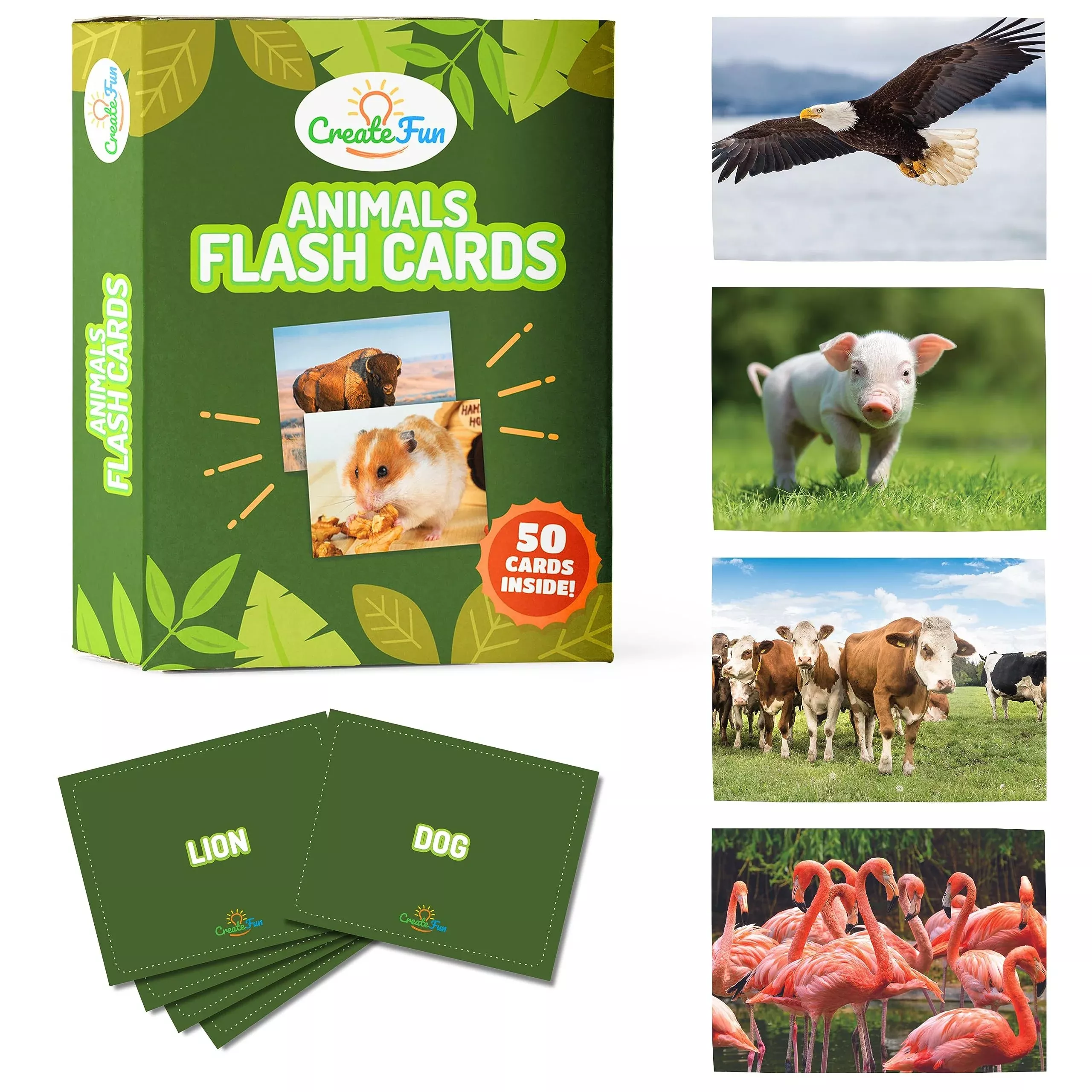 CreateFun Animal Flash Cards for Toddlers - 50 High-Quality Cards