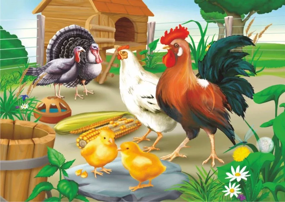 D-Toys 60198AN01 (41-07649) Rooster and Hen 35 Piece Jigsaw Puzzle