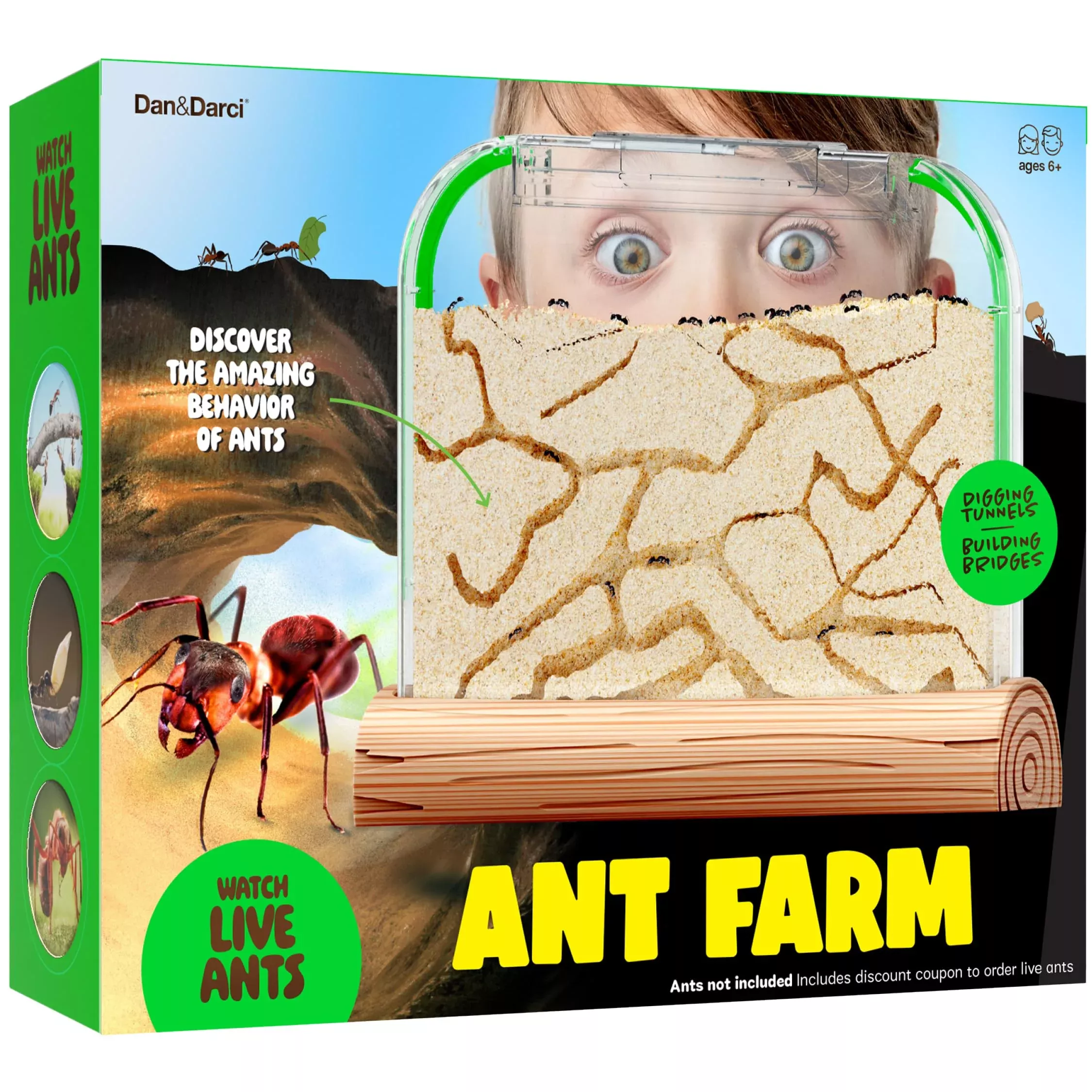 Dan&Darci Ant Farm with Live Ants Voucher - Clear - 2x9x