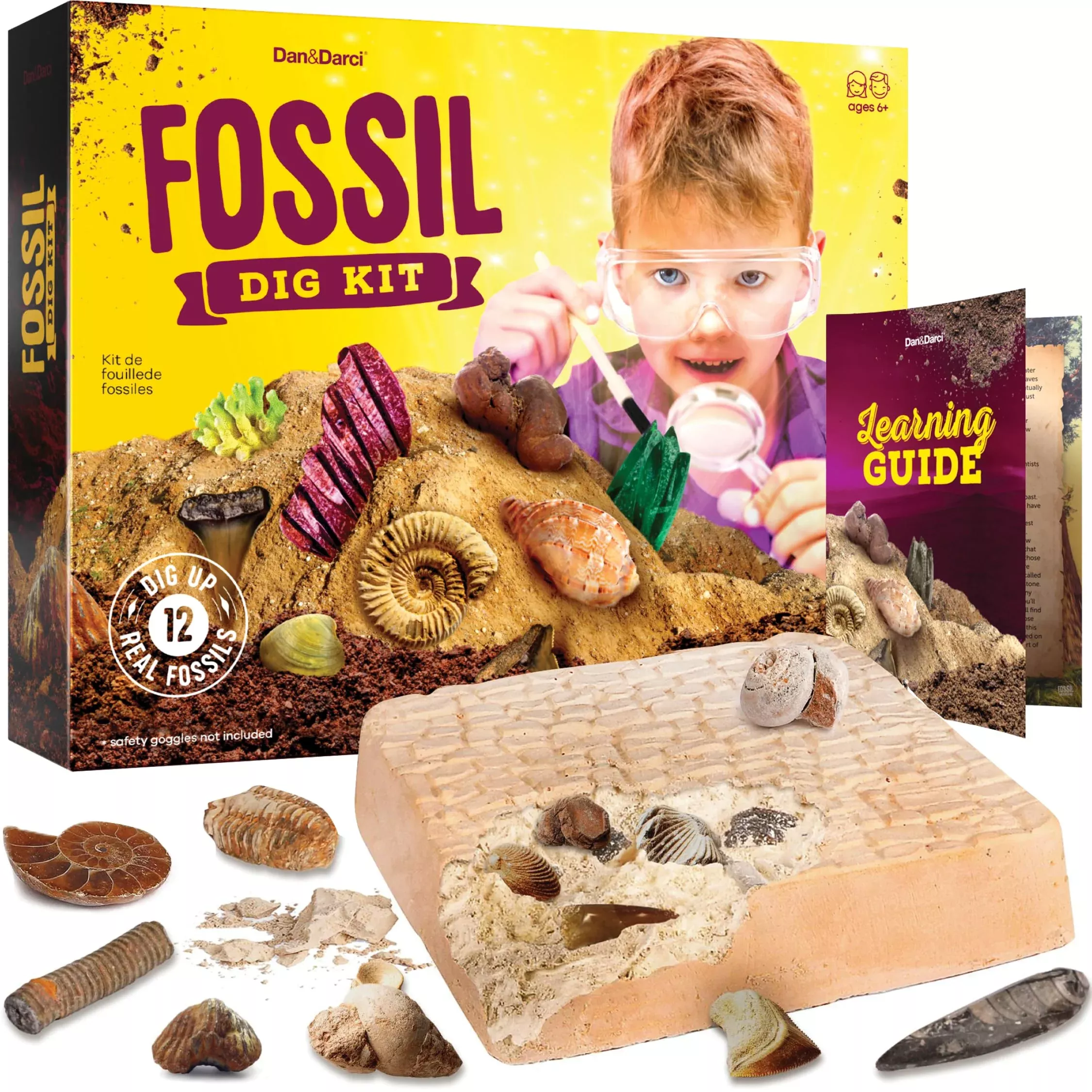 Dan&Darci Fossil Dig Kit for Ages 8-13, Multi-color,