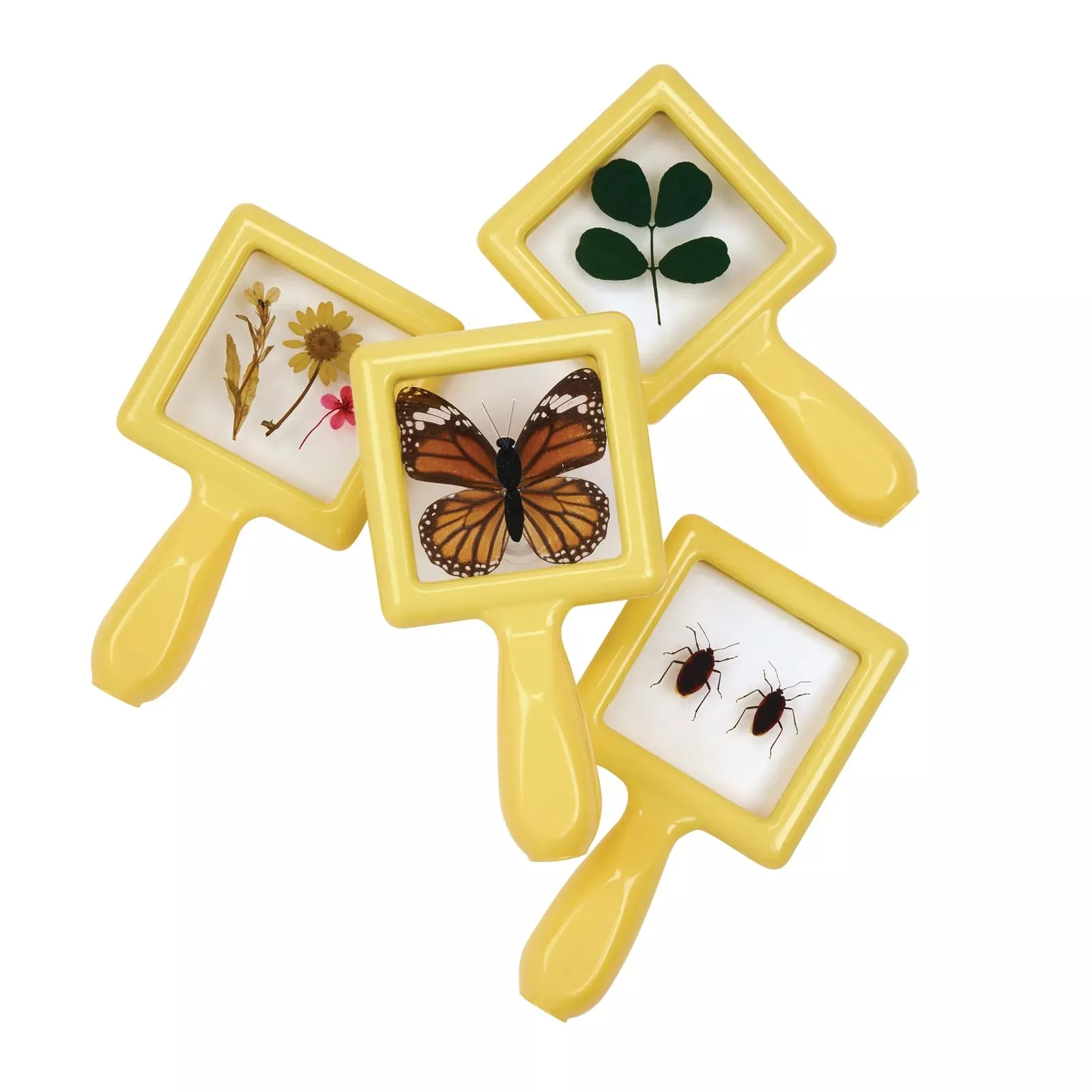 Environments Specimen Viewers for Kids, 6.5 x 3.5 inches
