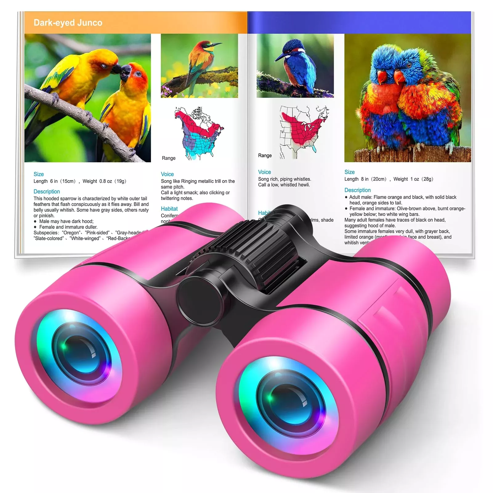 LET'S GO! Kids Binoculars 4x30 for Bird Watching - Pink