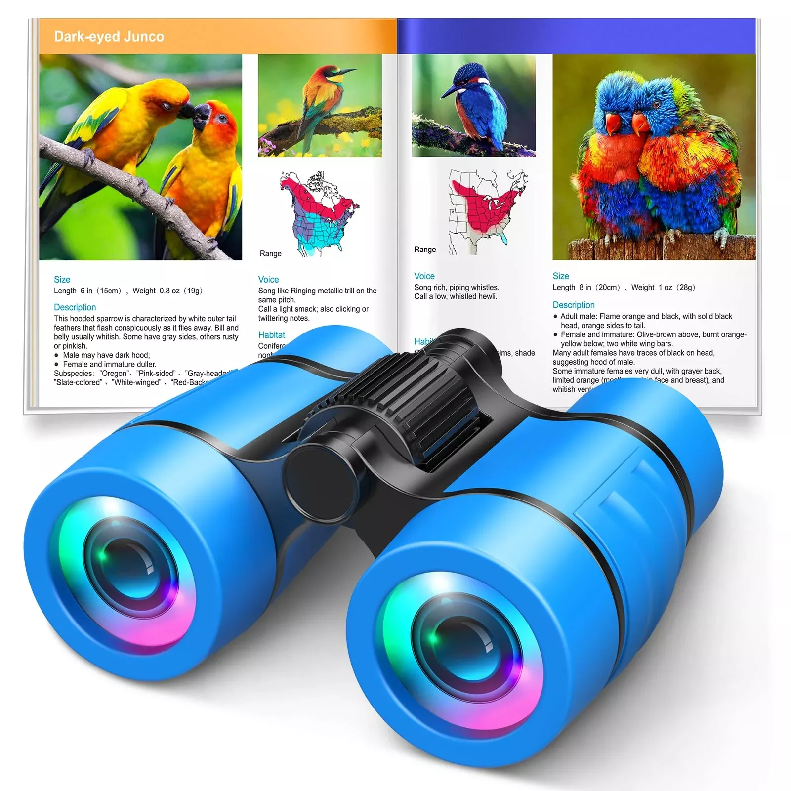 LET'S GO! Kids Binoculars 4x30 Blue for Bird Watching and Outdoor Fun