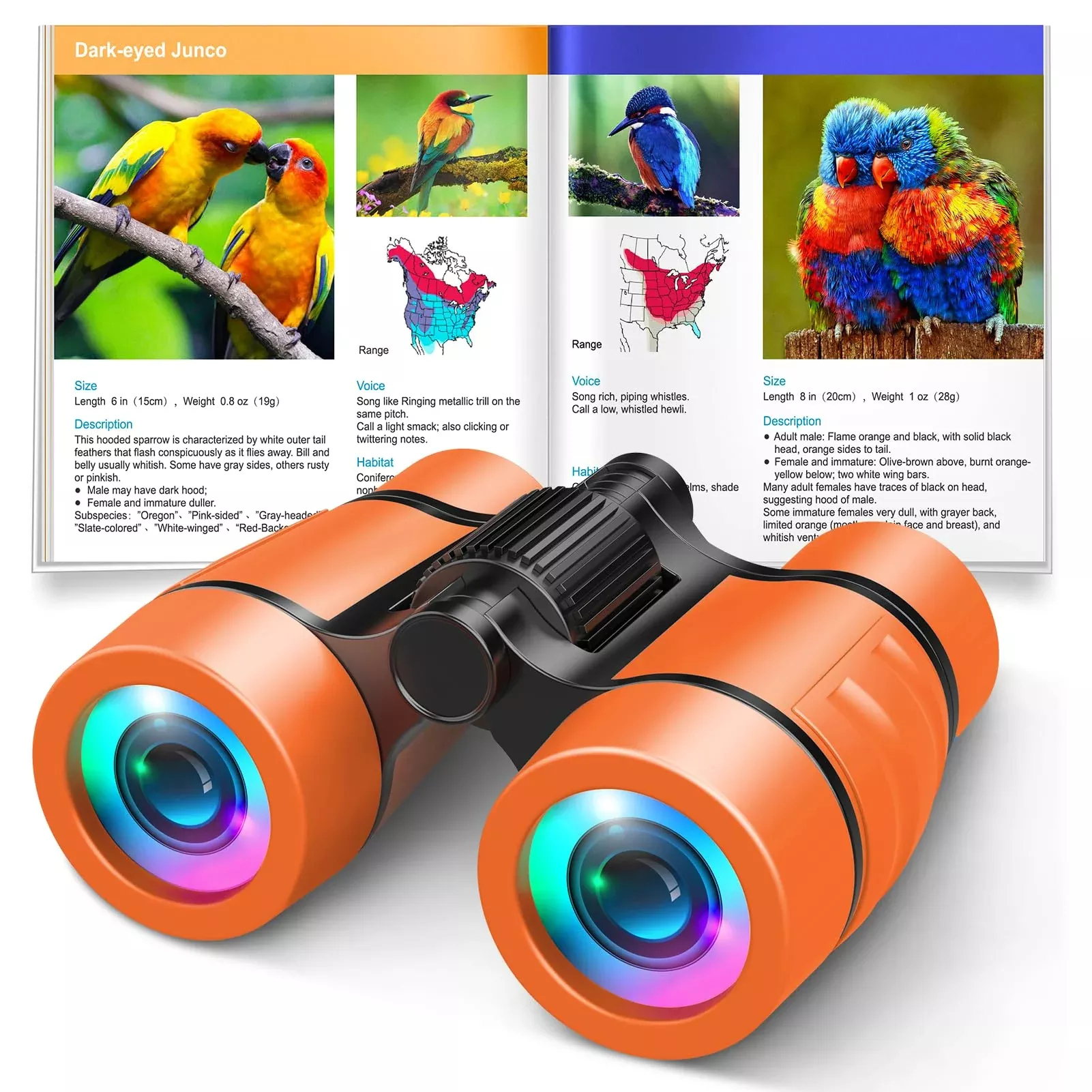 LET'S GO! Kids Binoculars 4x30 Orange for Bird Watching Adventures