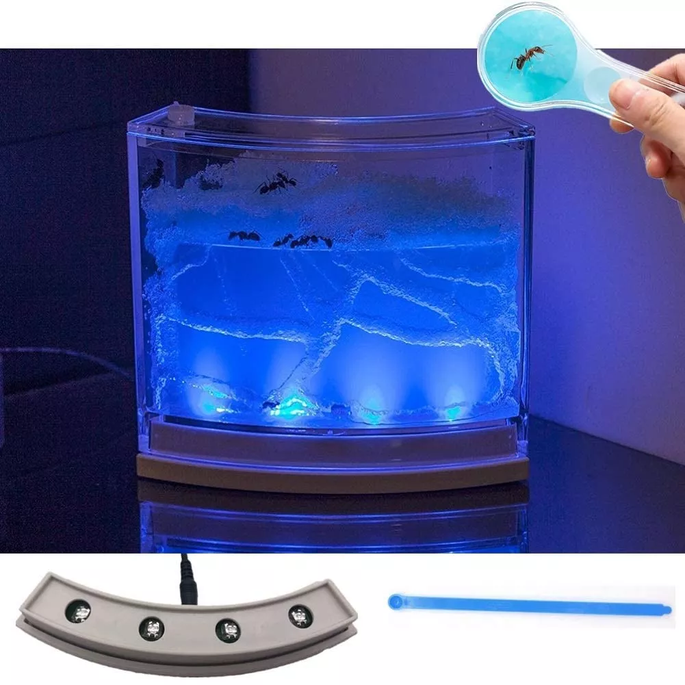 Navadeal Ant Farm Habitat For Kids W/ Led Light – Stem Toys, Education