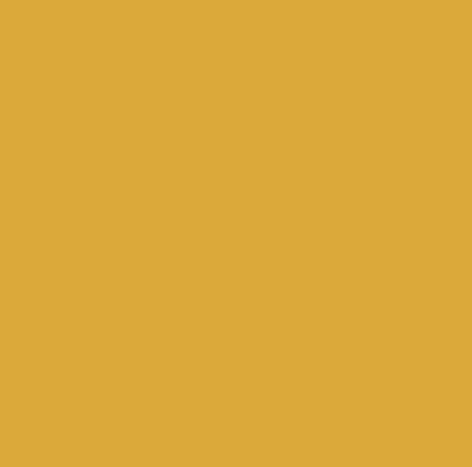 Rapido ProtoPaint 330058 Pennsylvania PRR Buff