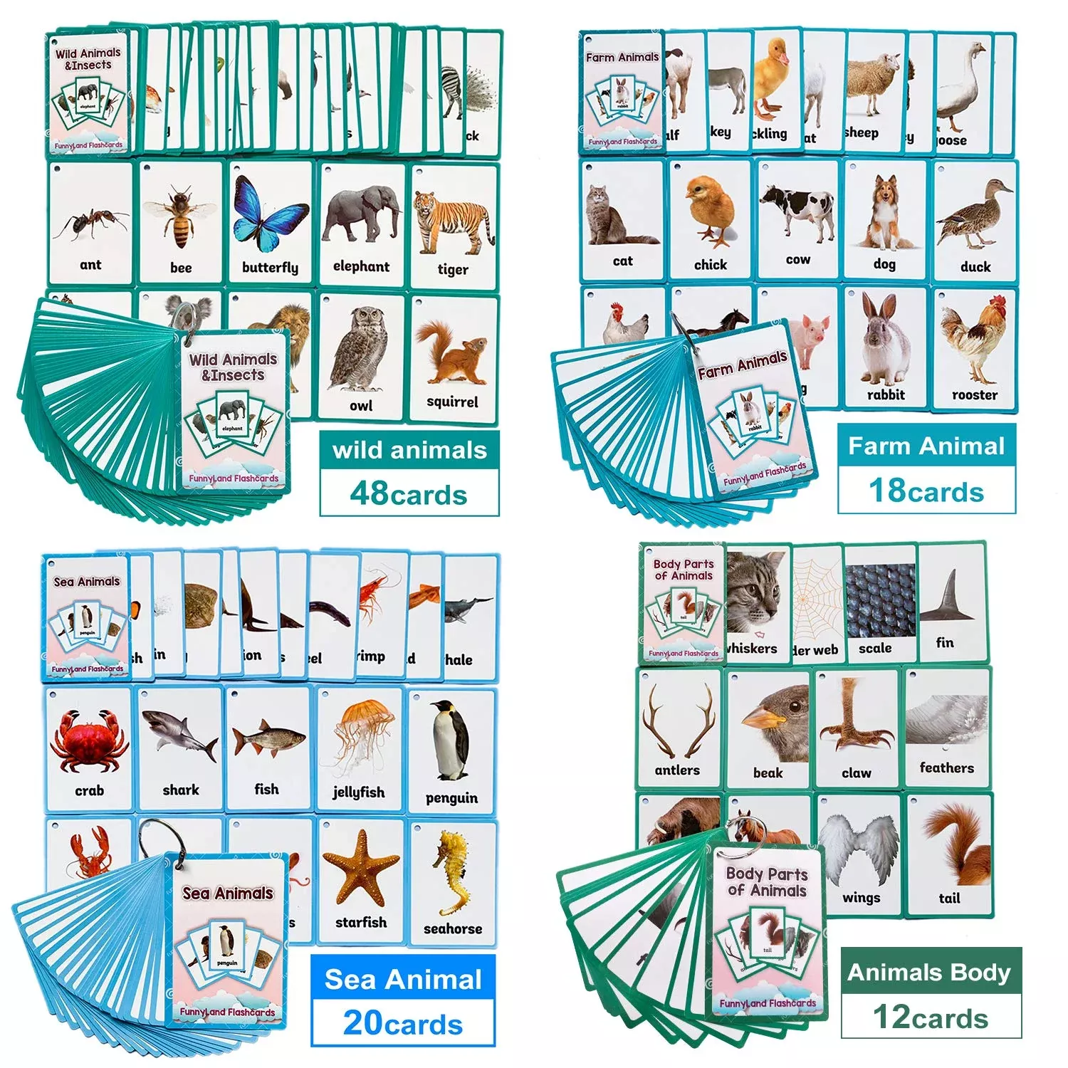 Richardy Flash Cards for Kids - 98 Pcs, 11x8cm, Wild