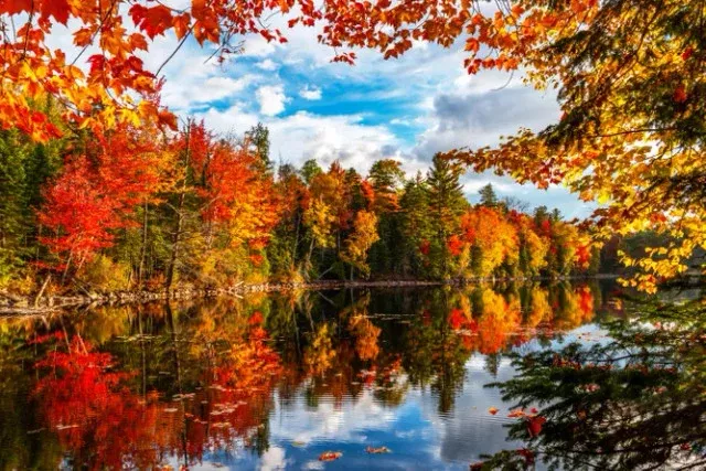 Springbok 33-01676 Autumn Lake 500 Piece Puzzle