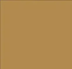 Tru-Color 1420 FS33448 Desert Dark Yellow Uniforms Solvent Based Acrylic Paint 1oz
