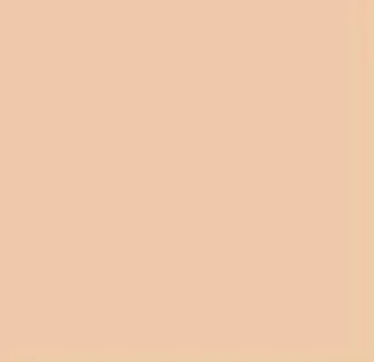 Tru-Color 1426 FS30279 Desert Sand Solvent Based Acrylic Paint 1oz