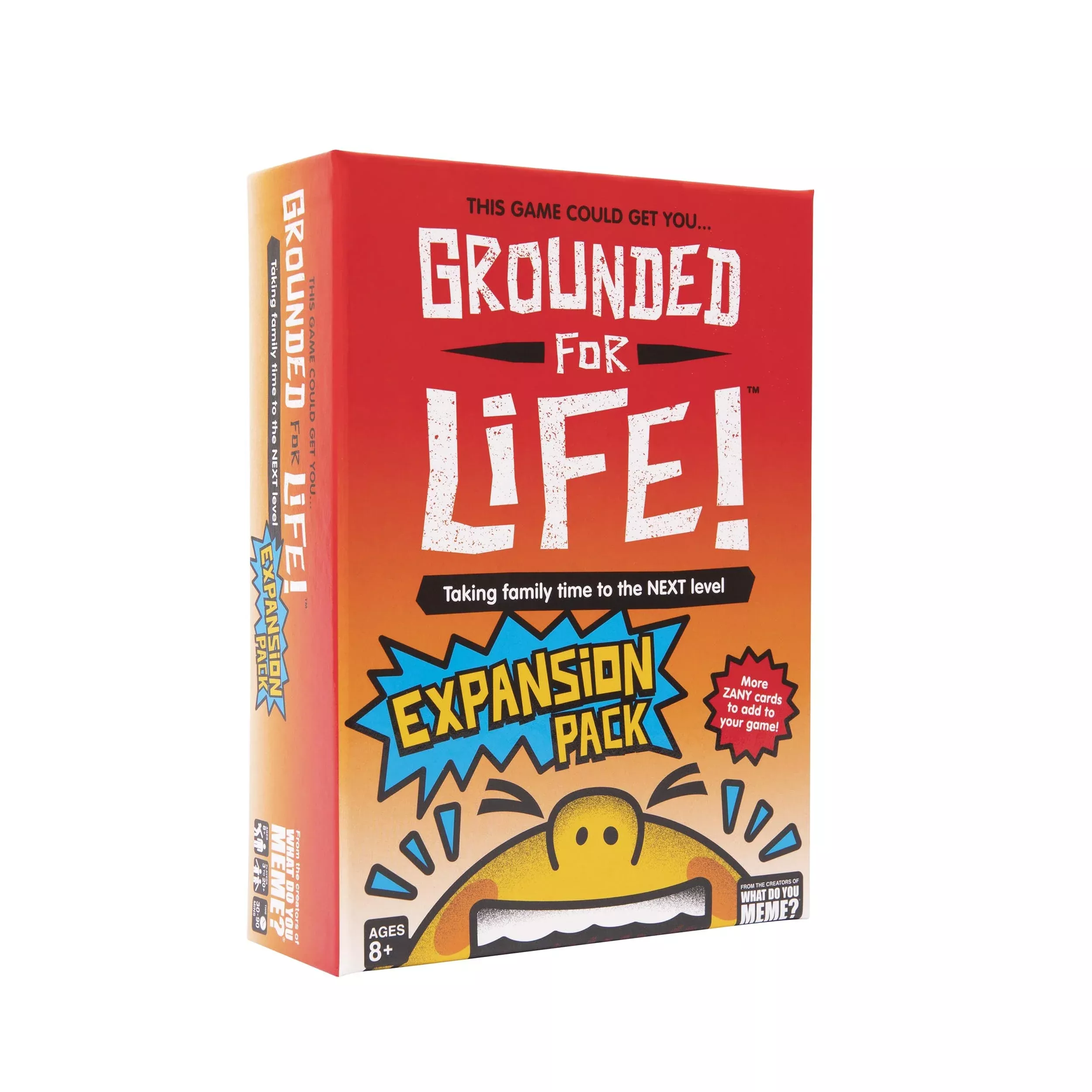 WHAT DO YOU MEME? Grounded for Life Expansion Pack Card Game - Medium Multicolor