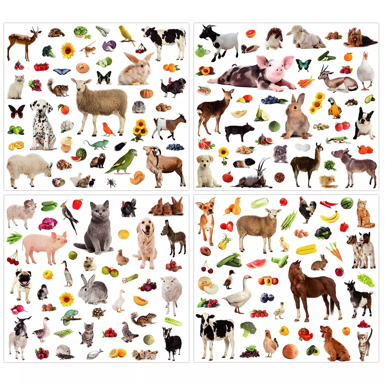 Zonon Animal Stickers Set - 16 Sheets, 800 Pieces, 50 Designs
